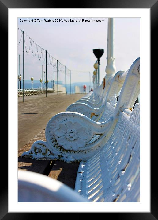 Wrought Iron Benches Torquay Pier Framed Mounted Print by Terri Waters