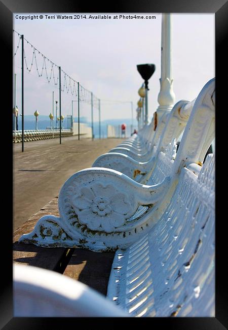 Wrought Iron Benches Torquay Pier Framed Print by Terri Waters