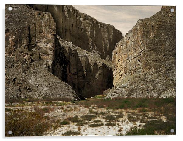 Canyon Walls Acrylic by Judy Hall-Folde