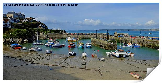 Newquay Harbour Print by Diana Mower