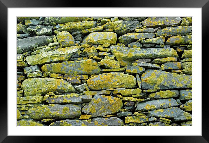 yellow and grey lichen wall Framed Mounted Print by Heather Newton