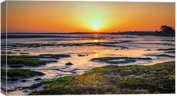 Warm Sunrise Near the Coast Canvas Print by matthew  mallett