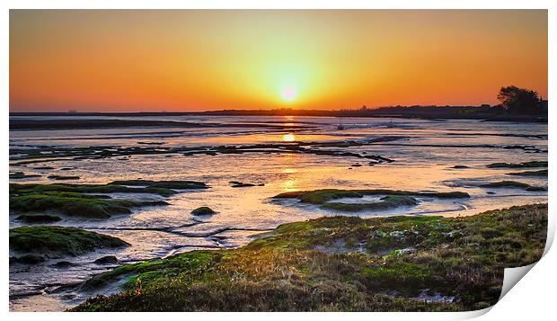 Warm Sunrise Near the Coast Print by matthew  mallett