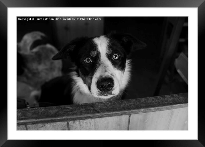 Lily in Black and White Framed Mounted Print by Lauren Wilson