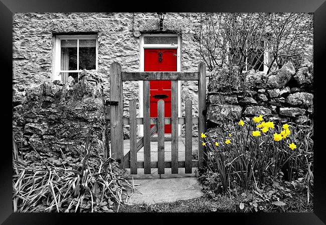 Selective Colouring Framed Print by Gary Kenyon