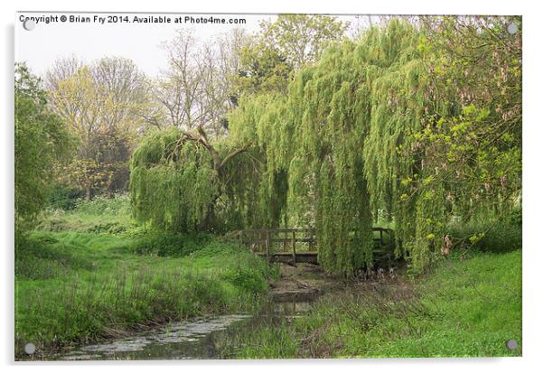 The old wooden bridge Acrylic by Brian Fry