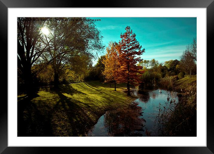 fall light Framed Mounted Print by Jo Beerens