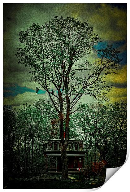 The Victorian In The Woods Print by Chris Lord
