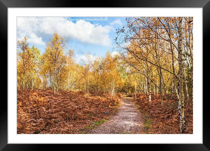 Autumn Path Framed Mounted Print by Graham Prentice