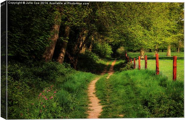 Blickling, Norfolk 4 Canvas Print by Julie Coe