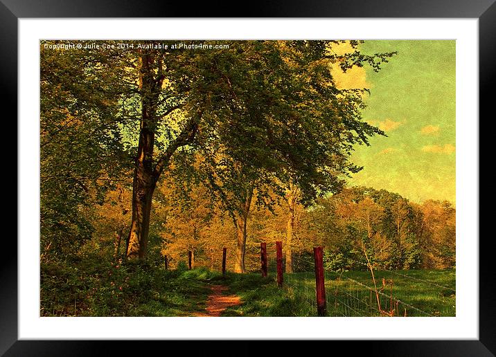 Blickling Woods, Norfolk 2 Framed Mounted Print by Julie Coe