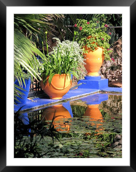 Lily pond Framed Mounted Print by Ruth Hallam