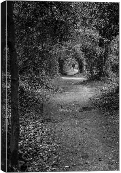 Follow the path Canvas Print by Phil Wareham