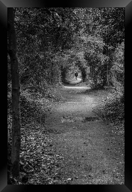 Follow the path Framed Print by Phil Wareham