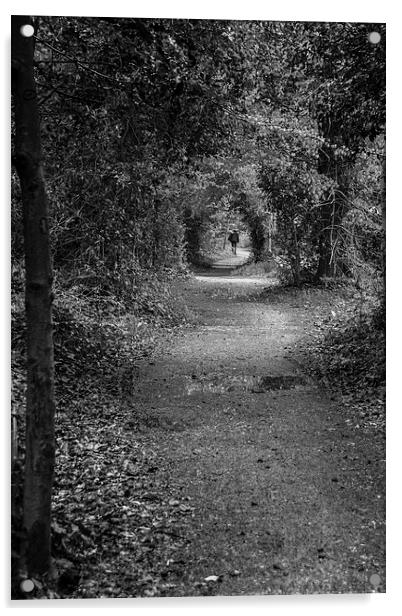 Follow the path Acrylic by Phil Wareham