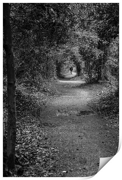 Follow the path Print by Phil Wareham
