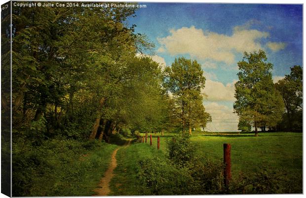 Blickling, Norfolk 3 Canvas Print by Julie Coe