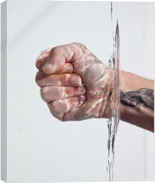 Hand in water Canvas Print by David Pacey