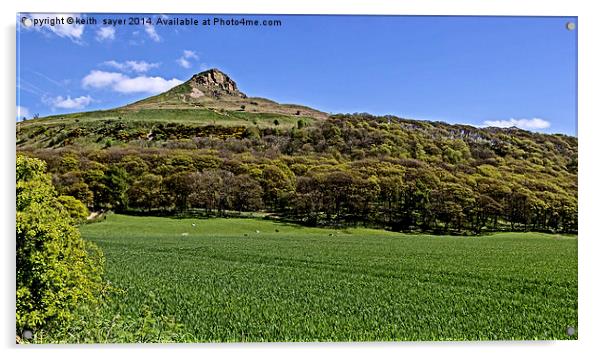 Roseberry Topping Acrylic by keith sayer