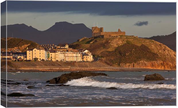 Criccieth castle Canvas Print by Rory Trappe