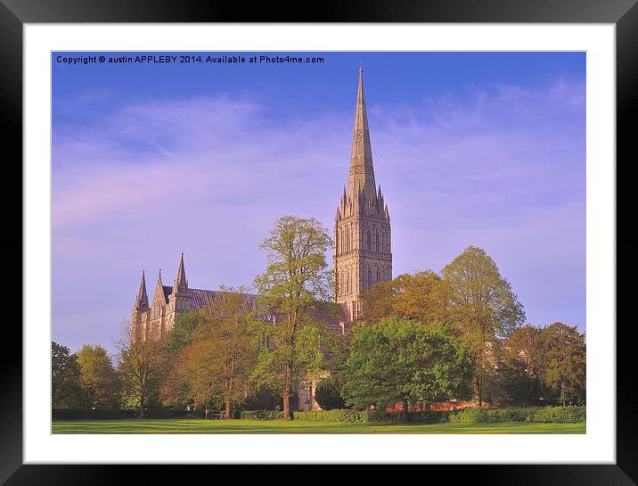SALISBURY CATHEDRAL SPIRE Framed Mounted Print by austin APPLEBY