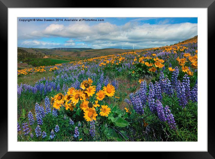 Central Washington Spring Framed Mounted Print by Mike Dawson