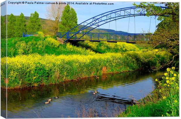 Rapeseed on river yeo at Congresbury  Canvas Print by Paula Palmer canvas