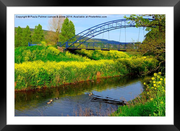 Rapeseed on river yeo at Congresbury  Framed Mounted Print by Paula Palmer canvas