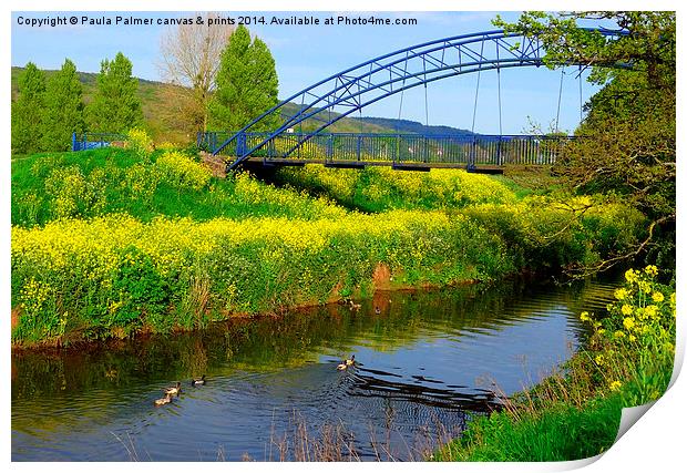 Rapeseed on river yeo at Congresbury  Print by Paula Palmer canvas
