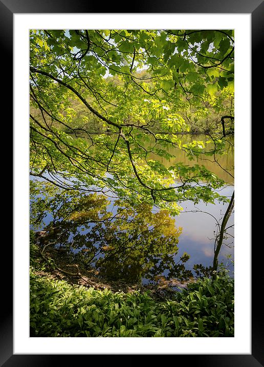 Reflection in Keg Pool - Etherow Park Framed Mounted Print by Andy McGarry
