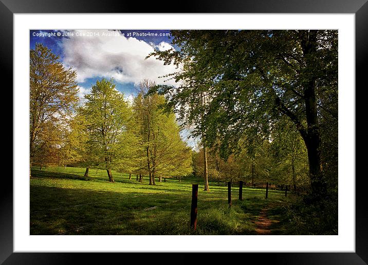 Blickling Woods, Norfolk Framed Mounted Print by Julie Coe