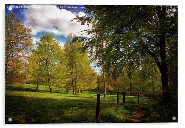 Blickling Woods, Norfolk Acrylic by Julie Coe