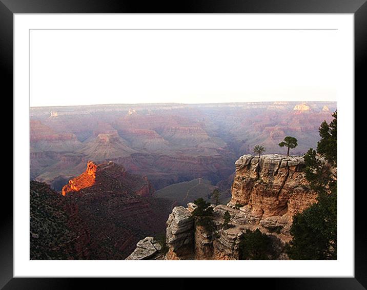 Grand Canyon Framed Mounted Print by Carla Marie Brimelow