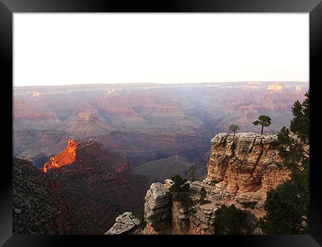 Grand Canyon Framed Print by Carla Marie Brimelow