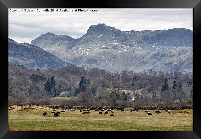 The Langdales Framed Print by Jason Connolly