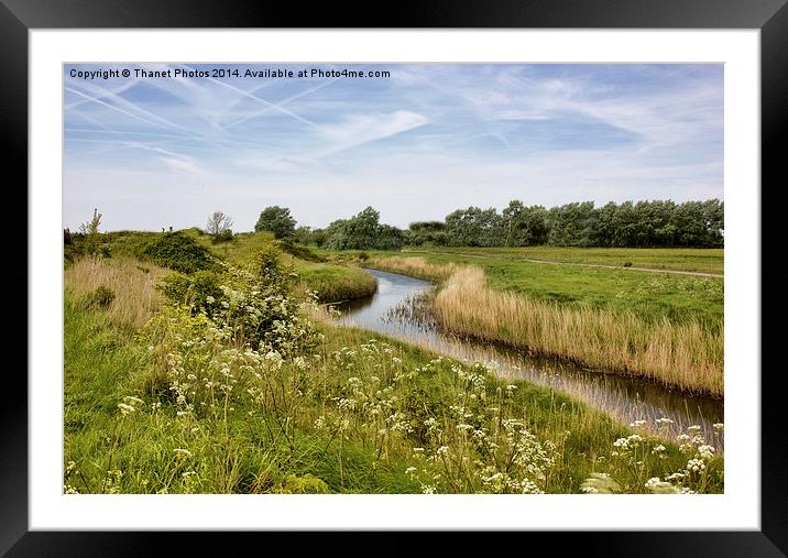 View along the River Framed Mounted Print by Thanet Photos