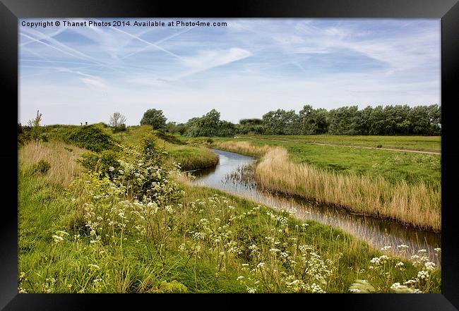 View along the River Framed Print by Thanet Photos