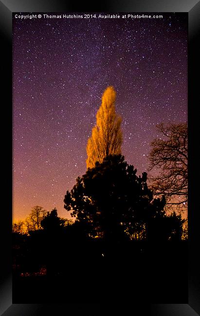 The stars over Shipton, York Framed Print by Thomas Hutchins