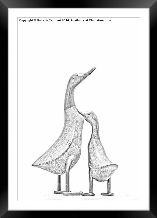Duck Couple Framed Mounted Print by Bahadir Yeniceri