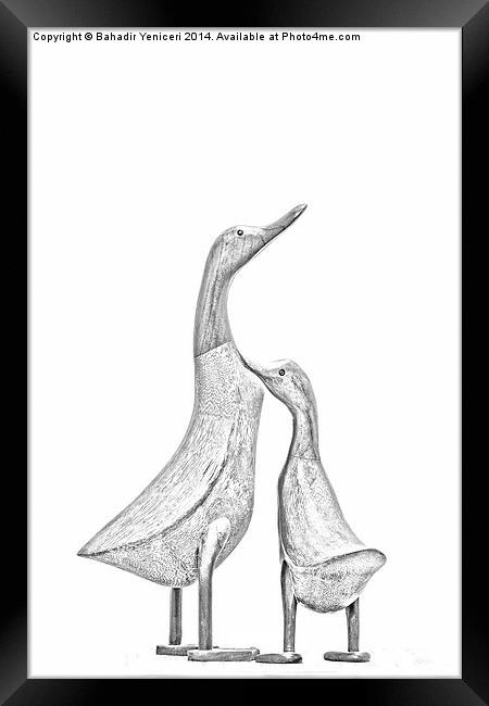 Duck Couple Framed Print by Bahadir Yeniceri