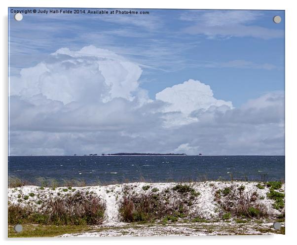 Gulf Coast Beauty Acrylic by Judy Hall-Folde