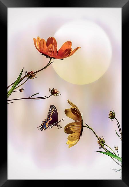 Natures Gifts Framed Print by Tom York