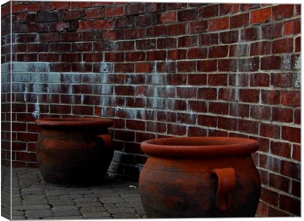 Two Large Pots Canvas Print by Pics by Jody Adams