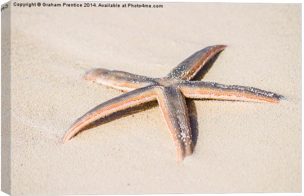 Starfish Canvas Print by Graham Prentice