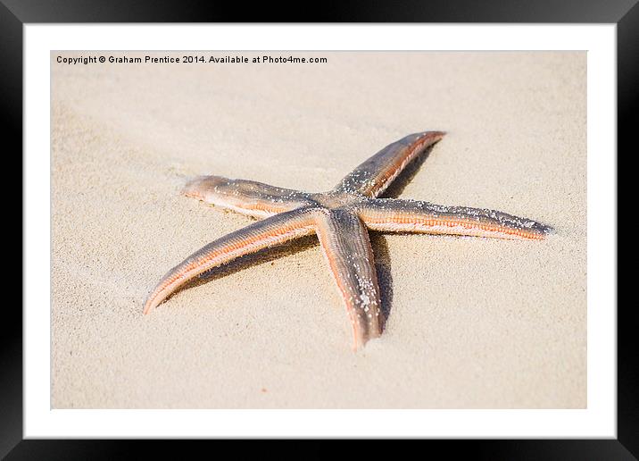 Starfish Framed Mounted Print by Graham Prentice
