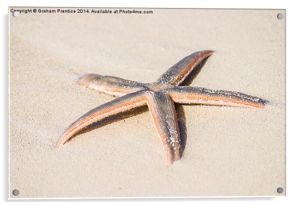 Starfish Acrylic by Graham Prentice