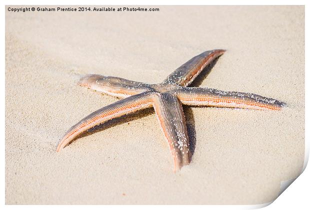 Starfish Print by Graham Prentice