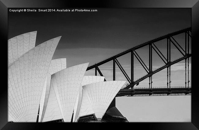 Sydney Opera House with bridge backdrop in mono Framed Print by Sheila Smart