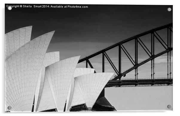 Sydney Opera House with bridge backdrop in mono Acrylic by Sheila Smart