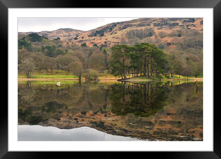 Coniston Calm Framed Mounted Print by Jason Connolly